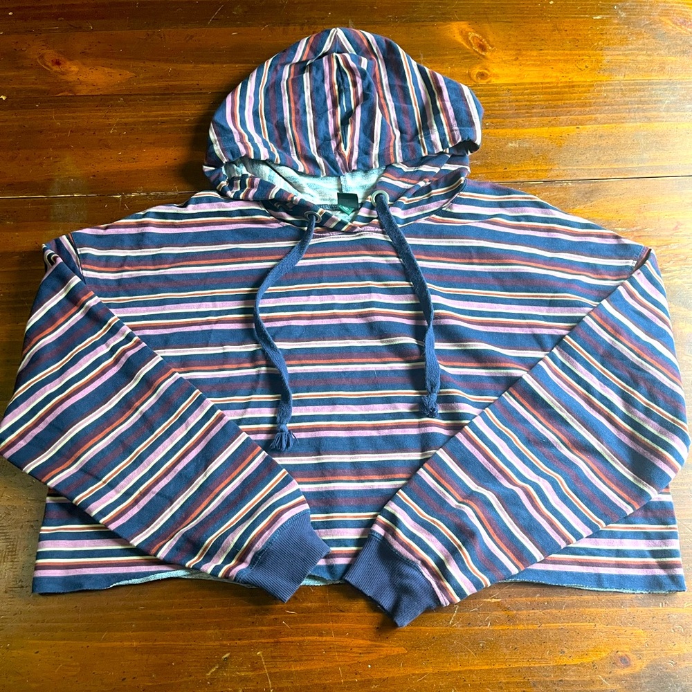 Wild Fable Cropped Multicolor Striped Hoodie